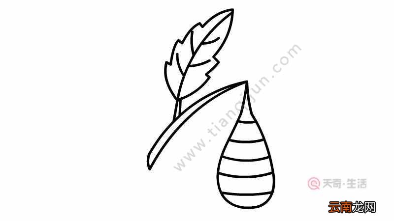 蜂巢简笔画