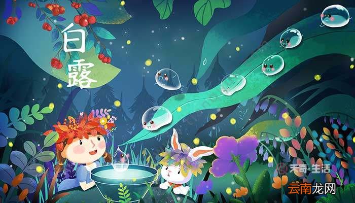 白露是什么意思 白露一词的含义