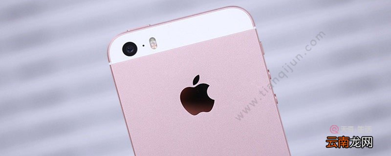 苹果se2支持5g网吗 苹果se2是不是支持5g网吗