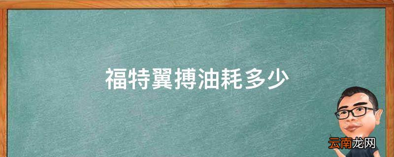 福特翼搏油耗多少