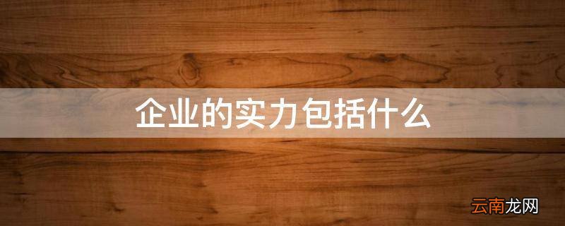 企业的实力包括什么