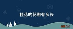 桂花的花期有多长