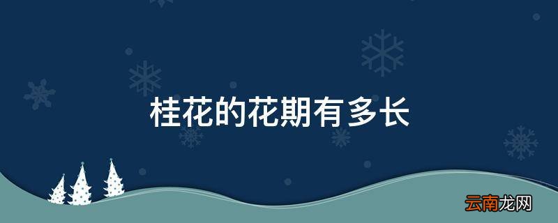 桂花的花期有多长