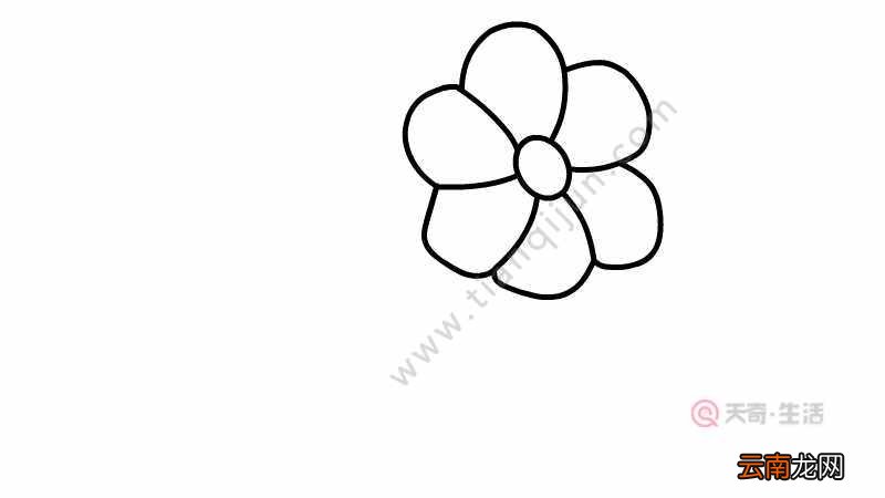 蓝色小花简笔画