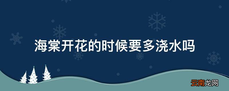 海棠开花的时候要多浇水吗
