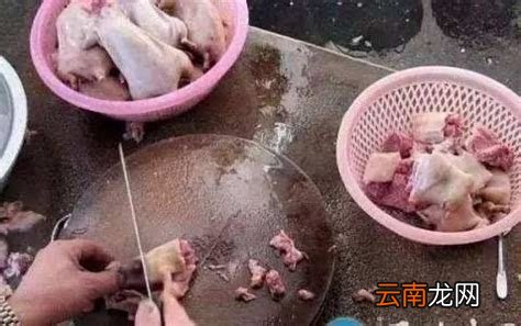 地羊肉是老鼠肉吗