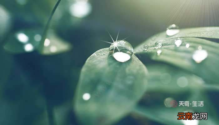 与白露相关的诗 白露时节的诗词