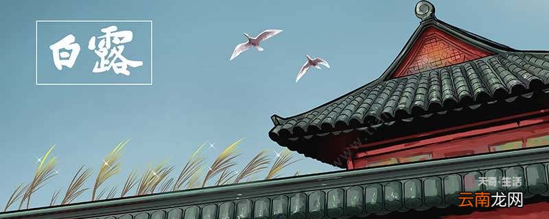 白露和寒露的区别 白露和寒露代表什么意思