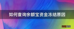 如何查询余额宝资金冻结原因
