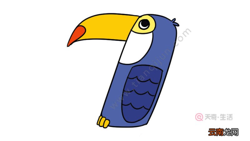数字画鸟简笔画