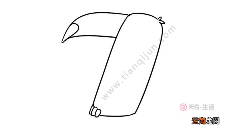 数字画鸟简笔画