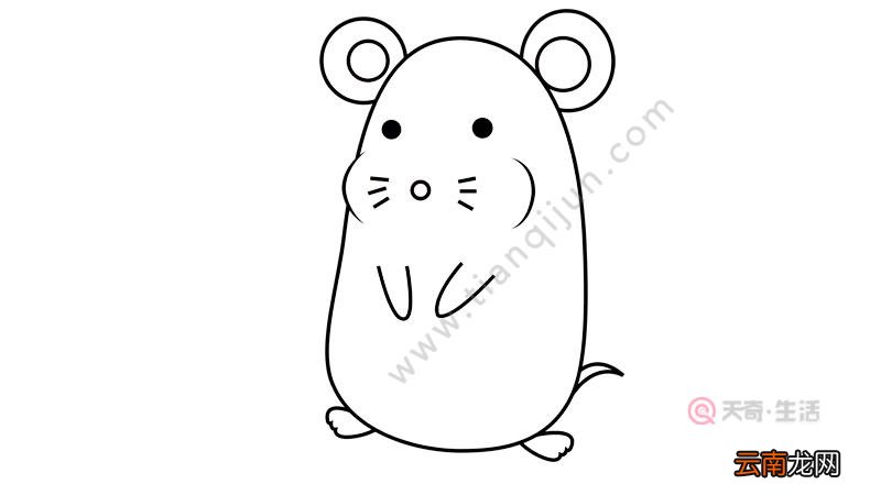一笔画老鼠简笔画