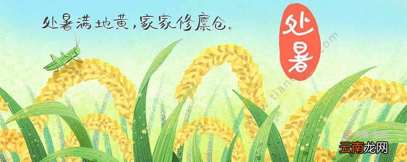 处暑吃什么蔬菜 处暑吃啥蔬菜