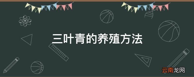 三叶青的养殖方法