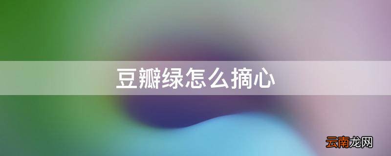 豆瓣绿怎么摘心