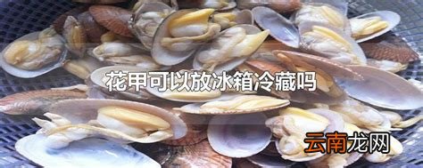 花甲可以放冰箱冷藏吗