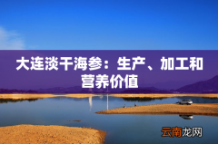 大连淡干海参：生产、加工和营养价值