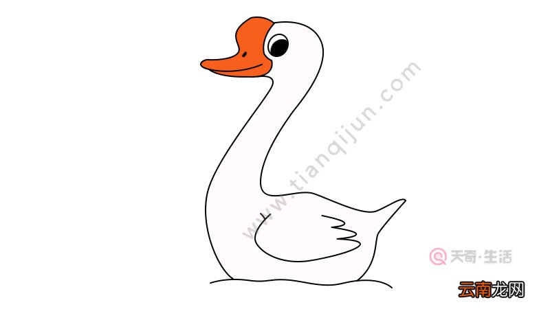 小孩怎么画鹅简笔画
