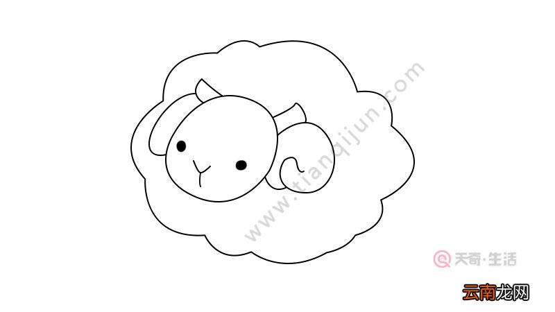 小羊简笔画教程