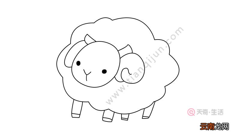 小羊简笔画教程