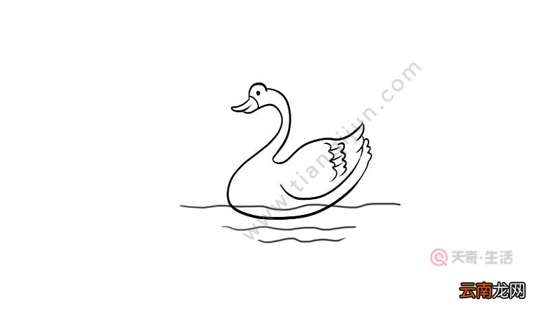 小孩画鹅怎么画简笔画