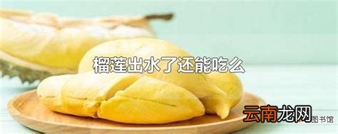 榴莲出水了还能吃么