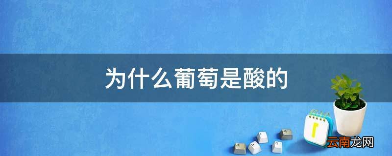 为什么葡萄是酸的