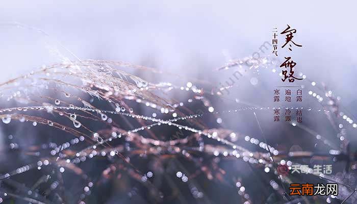 寒露的谚语