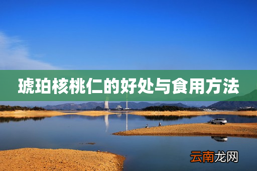 琥珀核桃仁的好处与食用方法