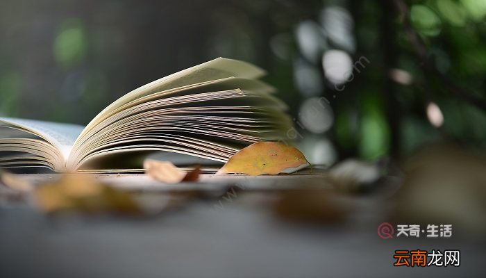 六年级下册语文书汤姆索亚历险记主要内容 六年级下册语文汤姆索亚历险记主要内容