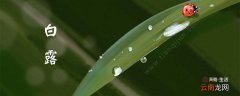 白露是中国传统节日吗 白露是第几个节气