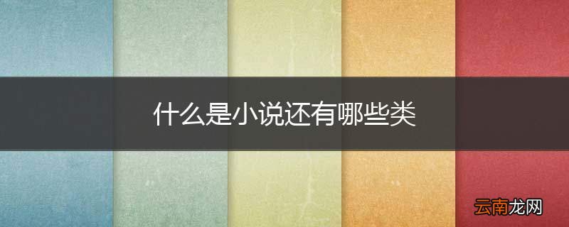 什么是小说还有哪些类