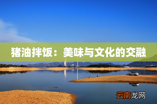 猪油拌饭：美味与文化的交融