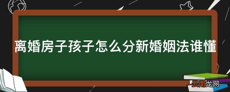 离婚房子孩子怎么分新婚姻法谁懂