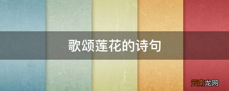歌颂莲花的诗句