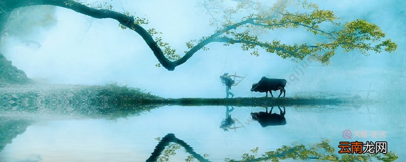 自在飞花轻似梦无边丝雨细如愁的修辞手法 自在飞花轻似梦无边丝雨细如愁的修辞手法是什么