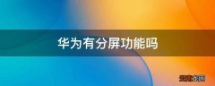 华为有分屏功能吗
