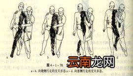 被动体位的概念