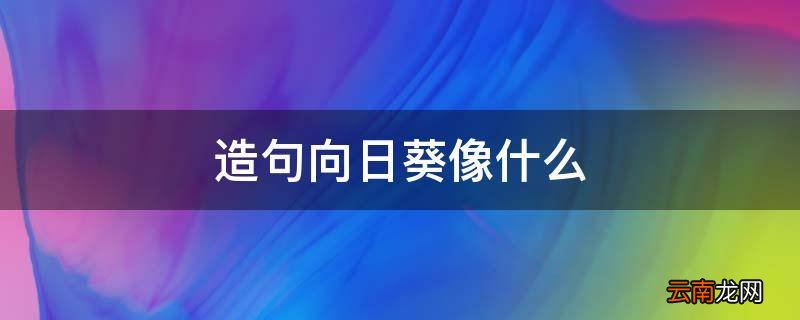 造句向日葵像什么