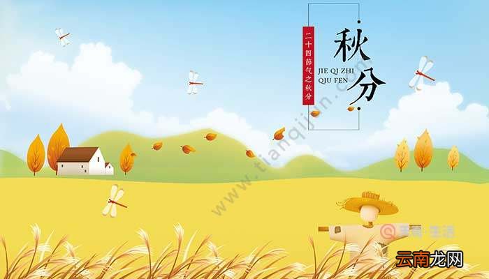秋分时节成熟的农作物 秋分要忙于哪些农事