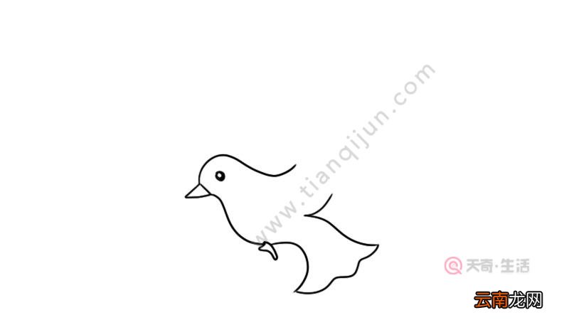 白鸽简笔画三步完成