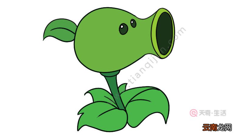 火焰豌豆射手简笔画