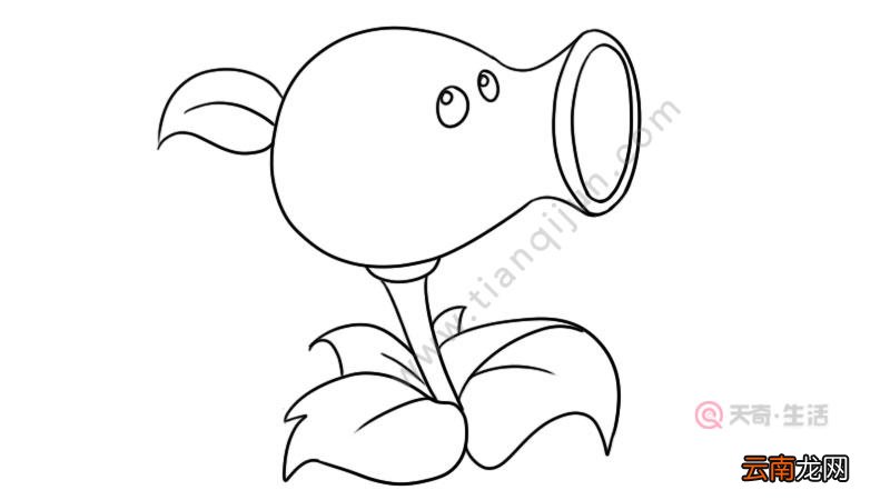 火焰豌豆射手简笔画