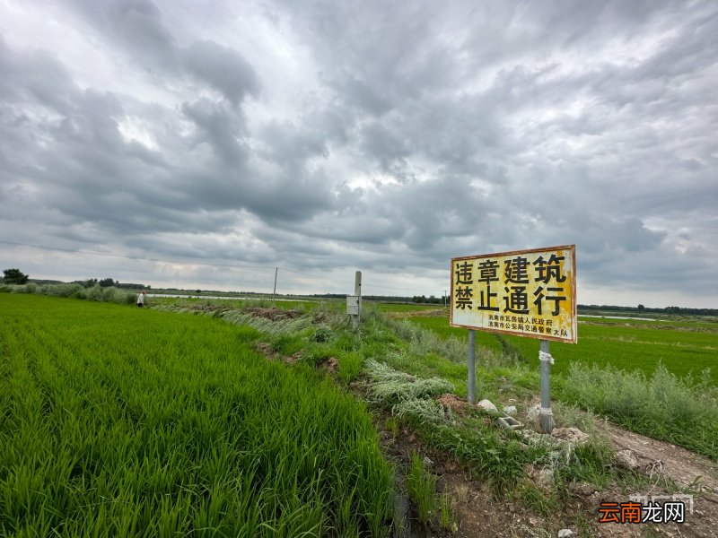 回到现场|村民自建收费桥被拆除判刑 河怎么过？案件怎么看？