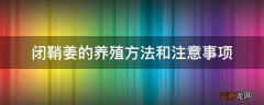 闭鞘姜的养殖方法和注意事项