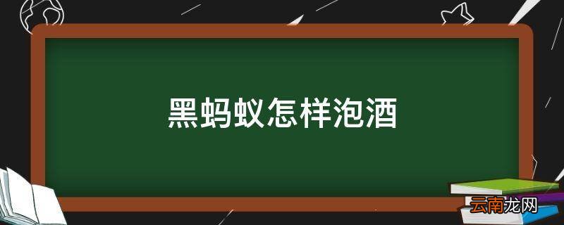 黑蚂蚁怎样泡酒