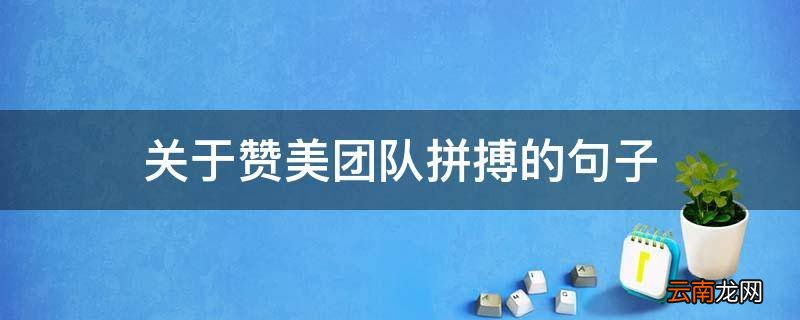 关于赞美团队拼搏的句子