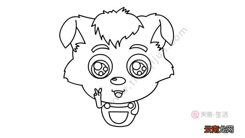 小灰灰简笔画