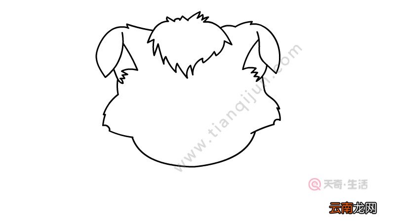 小灰灰简笔画