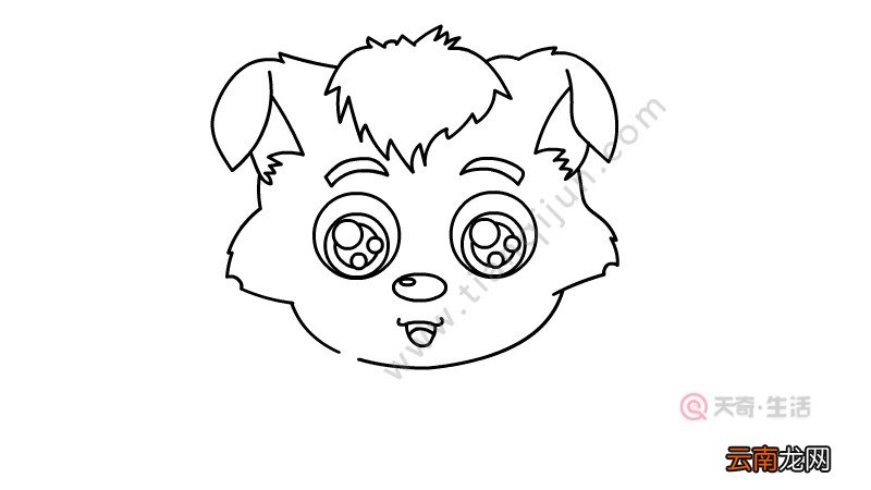 小灰灰简笔画